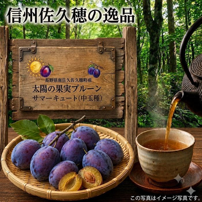太陽の果実プルーン　サマーキュート（中玉種）　DS予約販売（出荷予定 8月17日頃から2週間）